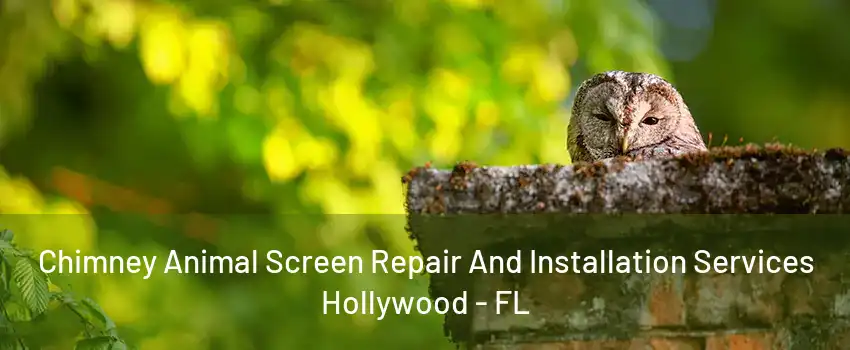 Chimney Animal Screen Repair And Installation Services Hollywood - FL