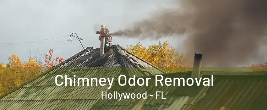 Chimney Odor Removal Hollywood - FL